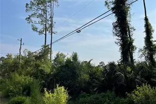 14004 Bradham Rd, Jacksonville, FL 32226 - Photo 13