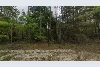 Ne 821st Street, Old Town, FL 32680 - Photo 1