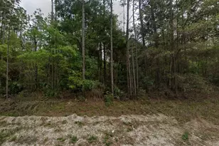 NE 821st St, Old Town, FL 32680 - Photo 1