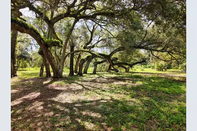 11 NE 434th Street, Old Town, FL 32680 - Photo 37