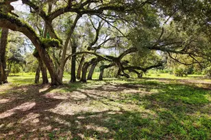 11 NE 434th St, Old Town, FL 32680 - Photo 37