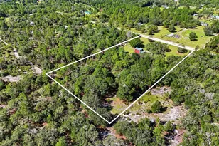 12751 NE 113th Terrace, Archer, FL 32618 - Photo 35