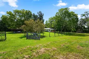 6218 SW 202nd St, Newberry, FL 32669 - Photo 51
