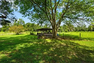 6218 SW 202nd St, Newberry, FL 32669 - Photo 47