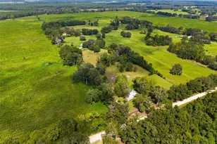 6218 SW 202nd St, Newberry, FL 32669 - Photo 61