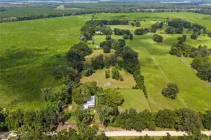 6218 SW 202nd St, Newberry, FL 32669 - Photo 59