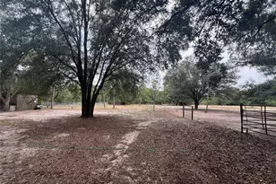 3369 NE 53rd Terrace, High Springs, FL 32643 - Photo 43