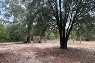 3369 NE 53rd Terrace, High Springs, FL 32643 - Photo 41