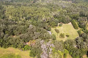 22304 NE 35 Ave, Melrose, FL 32666 - Photo 27