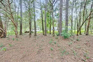 19922 NW 131st Pl, Alachua, FL 32615 - Photo 77