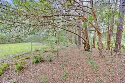 19922 NW 131st Place, Alachua, FL 32615 - Photo 75