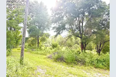 11091 NE 107th Terrace, Archer, FL 32618 - Photo 29