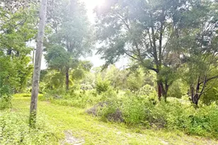 11091 NE 107th Terrace, Archer, FL 32618 - Photo 29