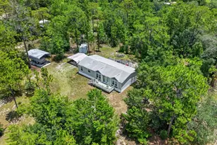 7131 NE 138 Terrace, Williston, FL 32696 - Photo 55