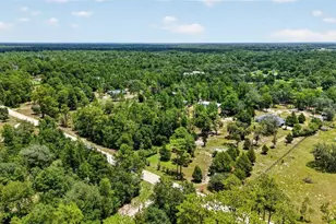 7131 NE 138 Terrace, Williston, FL 32696 - Photo 59
