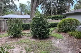 1628 NW 6th Ave, Gainesville, FL 32603 - Photo 13