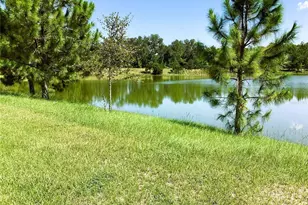 133 SW Bellflower Dr, Lake City, FL 32024 - Photo 17
