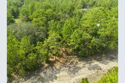 Ne 156th Ct, Williston, FL 32696 - Photo 9