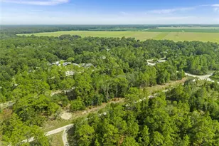 NE 156th Ct, Williston, FL 32696 - Photo 1