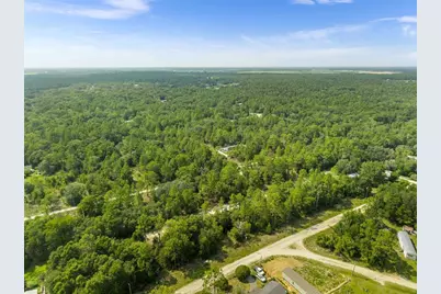 Ne 156th Ct, Williston, FL 32696 - Photo 5