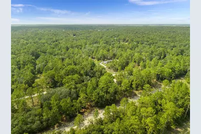 Ne 156th Ct, Williston, FL 32696 - Photo 3