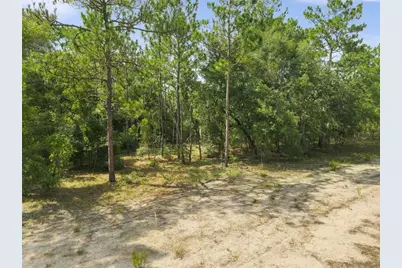 Ne 156th Ct, Williston, FL 32696 - Photo 7
