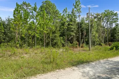 Ne 156th Ct, Williston, FL 32696 - Photo 11