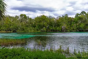 19326 SW 101st Place Rd, Dunnellon, FL 34432 - Photo 29