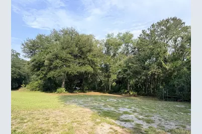 279 NE 576th Street, Old Town, FL 32680 - Photo 3