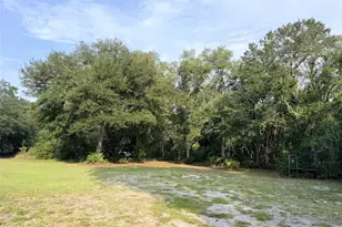 279 NE 576th St, Old Town, FL 32680 - Photo 5
