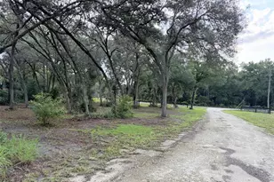 279 NE 576th St, Old Town, FL 32680 - Photo 21
