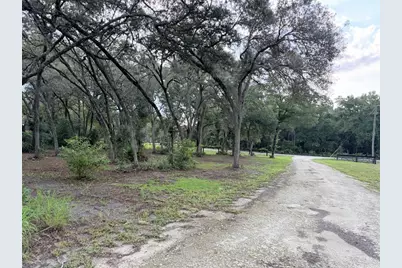 279 NE 576th Street, Old Town, FL 32680 - Photo 15