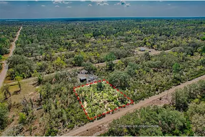 000 NE 68th Place, Williston, FL 32696 - Photo 7