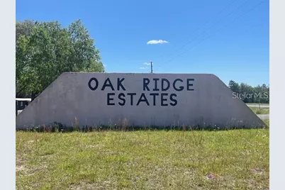000 NE 68th Place, Williston, FL 32696 - Photo 5