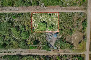 000 NE 68th Pl, Williston, FL 32696 - Photo 1