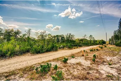000 NE 68th Place, Williston, FL 32696 - Photo 11