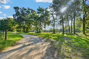 9813 NW State Road 45, High Springs, FL 32643 - Photo 7