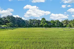 9813 NW State Road 45, High Springs, FL 32643 - Photo 19