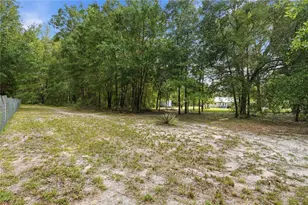 5480 NE 53rd Terrace, High Springs, FL 32643 - Photo 37