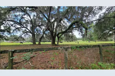 16545 NW 128th Terrace, Reddick, FL 32686 - Photo 5
