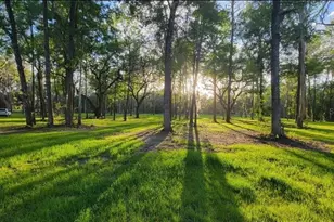 16545 NW 128th Terrace, Reddick, FL 32686 - Photo 1