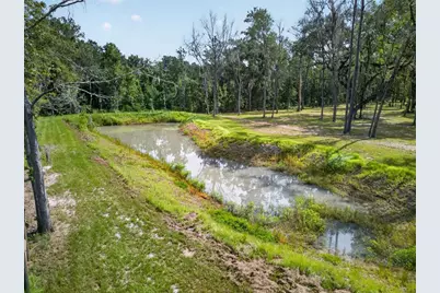 16545 NW 128th Terrace, Reddick, FL 32686 - Photo 9