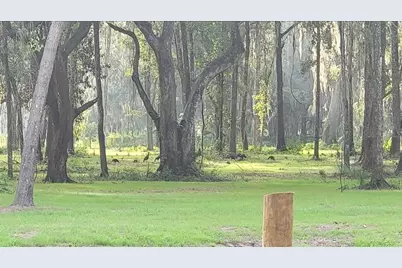 16545 NW 128th Terrace #Lot 36, Reddick, FL 32686 - Photo 41
