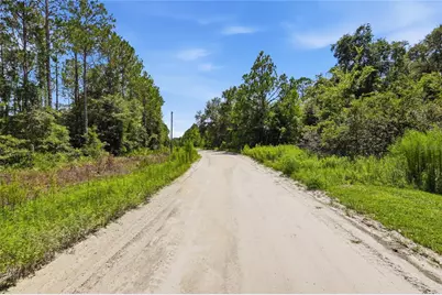 Deep Wood Drive, Trenton, FL 32693 - Photo 11