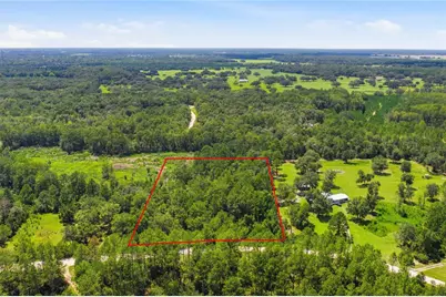 Deep Wood Drive, Trenton, FL 32693 - Photo 3