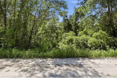 Deep Wood Drive, Trenton, FL 32693 - Photo 9