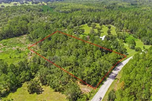 Deep Wood Dr, Trenton, FL 32693 - Photo 1