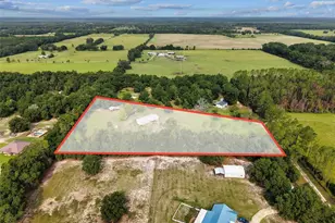 4689 NW 26th St, Bell, FL 32619 - Photo 45