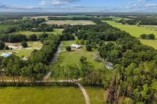 4689 NW 26th St, Bell, FL 32619 - Photo 43