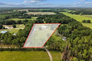 4689 NW 26th St, Bell, FL 32619 - Photo 29